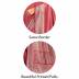 Front Office Staff Uniform Saree Manufacturers, Suppliers, Exporters in Surat