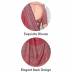 Front Office Staff Uniform Saree Manufacturers, Suppliers, Exporters in Surat