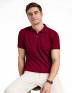 Mens Polo Maroon T Shirt, Half Sleeves, Plain Manufacturers, Suppliers, Exporters in Surat