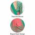 Multicolor Uniform Saree with Blouse Piece Manufacturers, Suppliers, Exporters in Surat