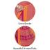 Teacher Uniform Crepe Saree From Uniform Unicorn Manufacturers, Suppliers, Exporters in Surat